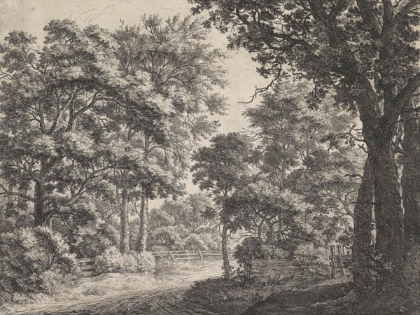 Large trees on either side of a path, Anthonie Waterloo, 1630 - 1663