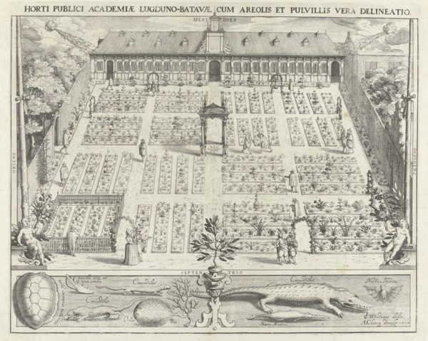 Hortus Botanicus of Leiden University, The Netherlands, Willem Isaacsz. van Swanenburg, Andries