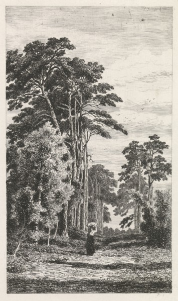 Dennenlaan, Alexander Mollinger, 1860