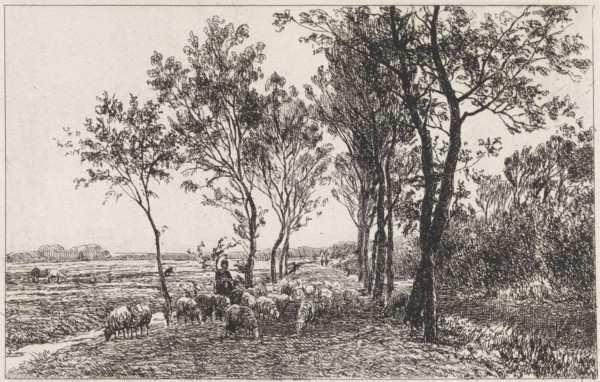 Landscape with Shepherd and flock of sheep, Julius Jacobus van de Sande Bakhuyzen, 1845 - 1925
