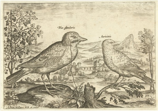Two birds in a landscape, Adriaen Collaert, 1598 - 1602