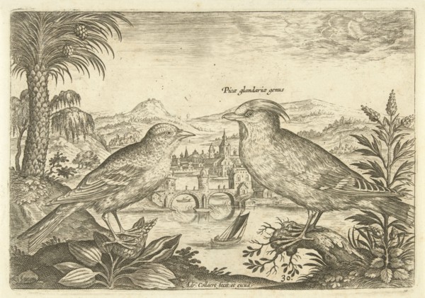 Two birds in a landscape, Adriaen Collaert, 1598 - 1602
