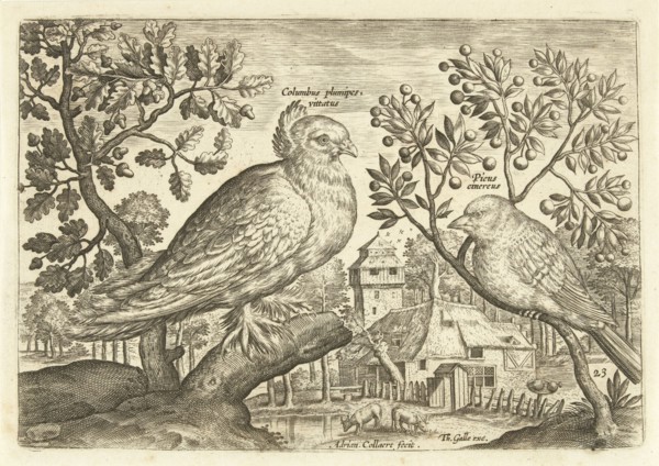 Two birds in a landscape, Adriaen Collaert, 1598 - 1618