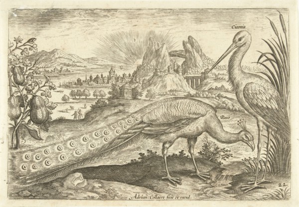Two birds in a landscape, Adriaen Collaert, 1598 - 1602