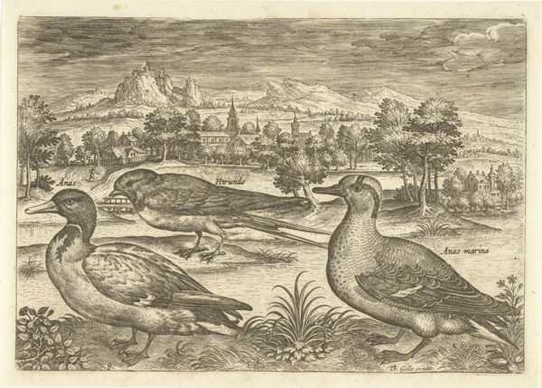 Some birds in a landscape, Adriaen Collaert, 1598-1618