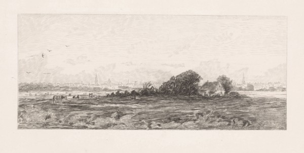 Cityscape with meadows in the foreground, Elias Stark, 1859 - 1891