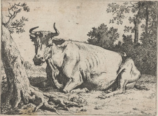 Lying cow near a tree, Paulus Potter, 1635 - 1654