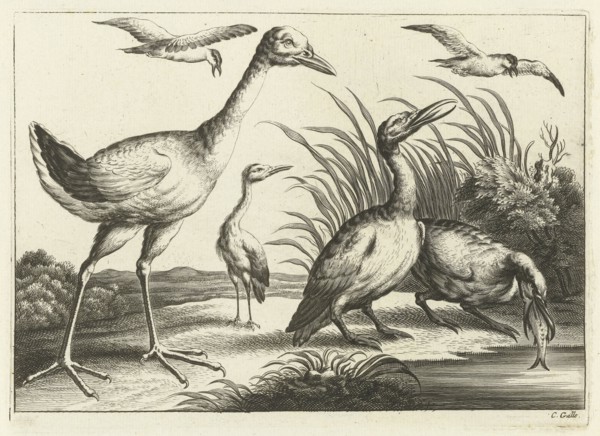 Waterfowl, print maker: Pieter van Lisebetten, Wenceslaus Hollar, Francis Barlow, 1654 - 1678