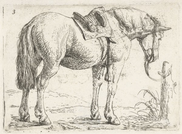 Horse with saddle, Jan van Aken, Jochem Bormeester, 1624 - 1661