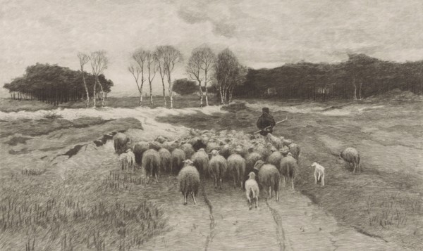 Shepherd, Elias Stark, 1889