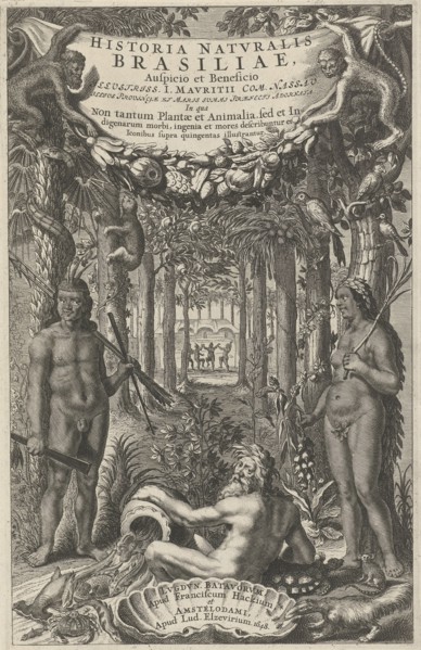 Brazilians in a forest, Theodor Matham, Lowijs Elzevier (III), Franciscus Hackius, 1648