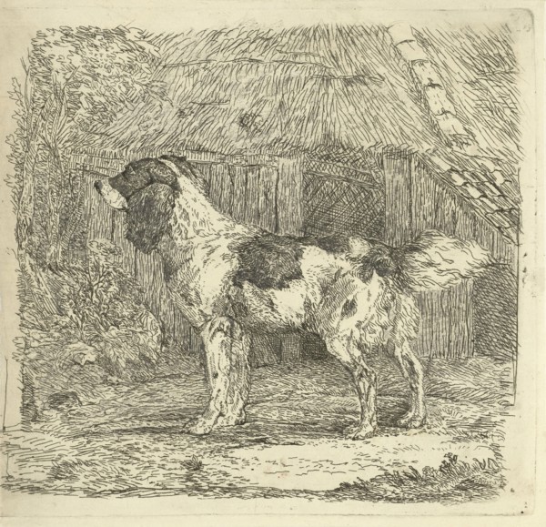 Dog standing in loft, Jan Dasveldt, 1780 - 1855