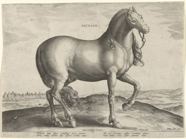 Horse from Sicily (Siculus), Hieronymus Wierix, Philips Galle, c. 1583 - c. 1587