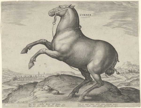 Horse from Scythia, Hieronymus Wierix, Philips Galle, c. 1583 - c. 1587