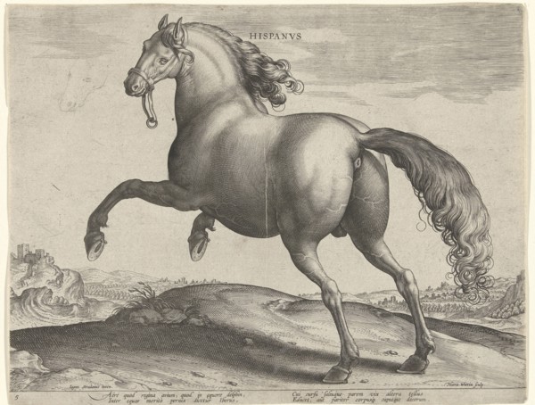 horse from Spain (Hispanus Alter), Hieronymus Wierix, Philips Galle, c. 1583 - c. 1587