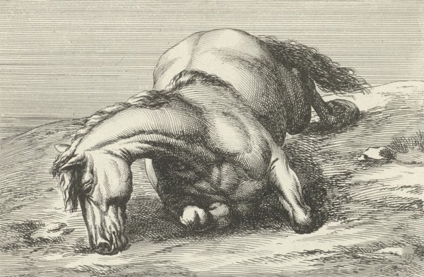 Killed horse, Jan van Huchtenburg, Adam Frans van der Meulen, unknown, 1674 - 1733