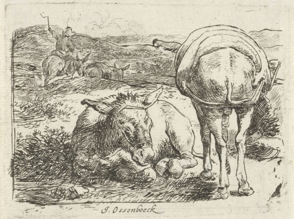 Two donkeys, print maker: Jan van Ossenbeeck, 1647 - 1674