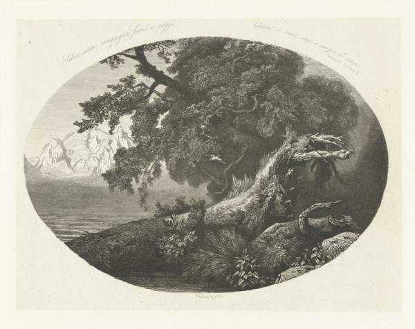 Uprooted tree trunk on the coast, Pierre Louis Dubourcq, 1856