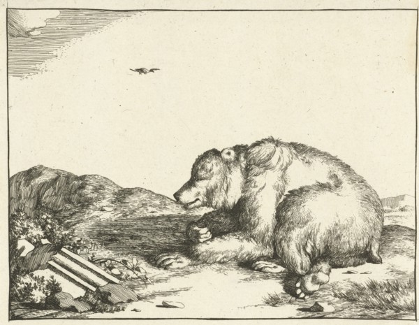 Reclining bear, print maker: Marcus de Bye, Marcus Gerards I, 1664