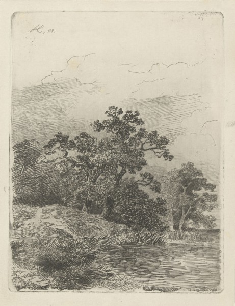Forest scene with a lake, print maker: Remigius Adrianus Haanen, 1848