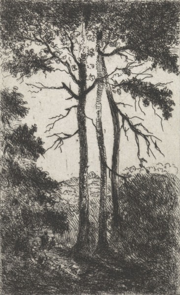 Three trees in a landscape, Arnoud Schaepkens, 1831 - 1904