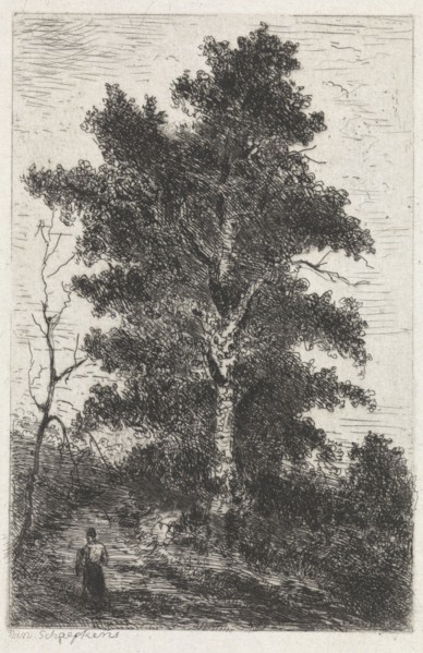 Beech, print maker: Arnoud Schaepkens