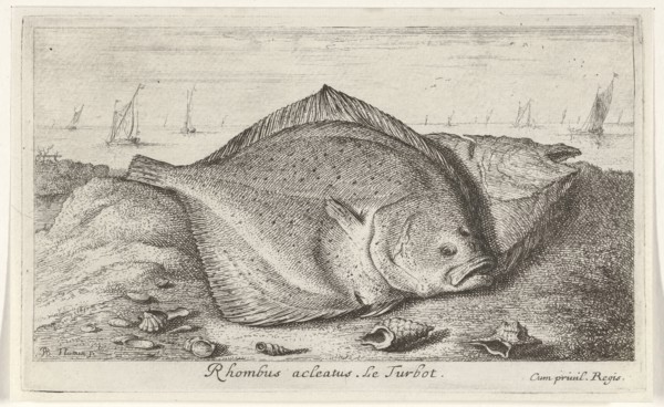 Two turbot on the beach, Albert Flamen, Jacques van Merlen, Lodewijk XIV (koning van Frankrijk),