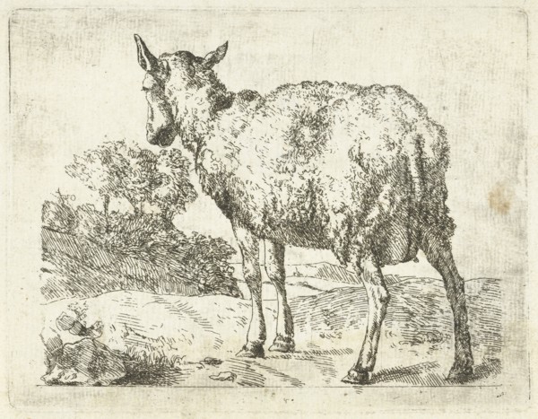 A sheep, Anonymous, Marcus de Bye, 1657 - c. 1800