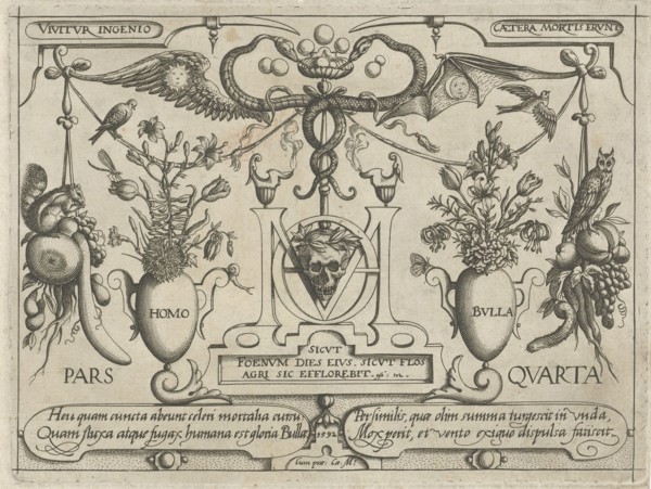 Animals, plants and fruits around a skull, Jacob Hoefnagel, 1592