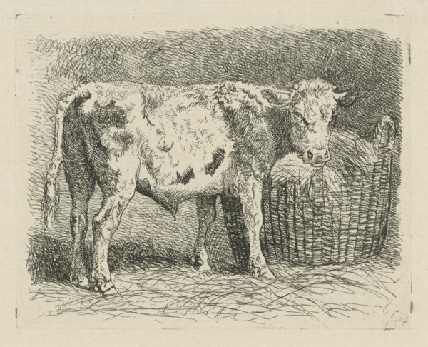 Young bull, Dirk van Lokhorst, 1828-1893