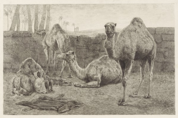 Camels, August Le Gras, 1886