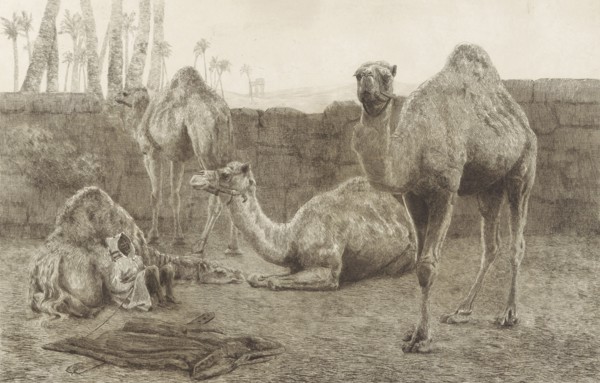 Camels, August Le Gras, 1886
