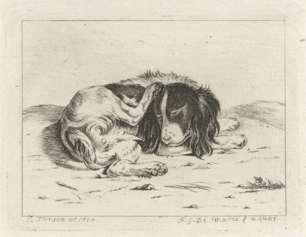 Sleeping dog, Hendrik Godart de Marée, 1752 - 1783