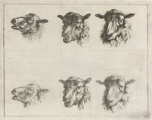 Study Sheet with six sheep ', Johannes Janson, 1761 - 1784