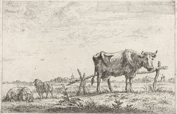 Pasture with cows and sheep, print maker: Johannes Janson, 1761 - 1784