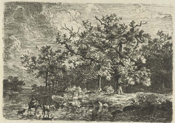 Landscape with trees and woman on a a donkey in shallow water, Willem Jan van den Berghe, 1848