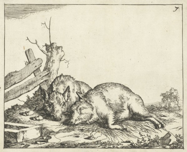 Two pigs lying near a fence, Marcus de Bye, Paulus Potter, 1657 - c. 1677