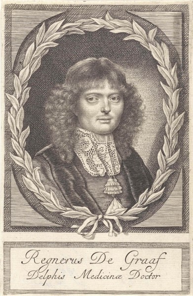 Portrait of Reinier de Graaf, Anna Maria van Schurman, 1666 - 1673