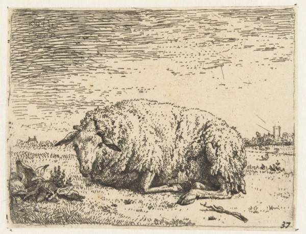 Resting sheep, Karel Dujardin, 1655