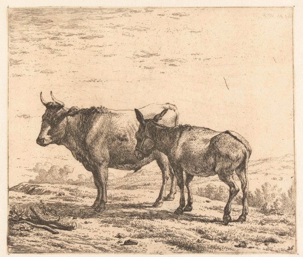 Ox and donkey, Karel Dujardin, 1652 - 1659