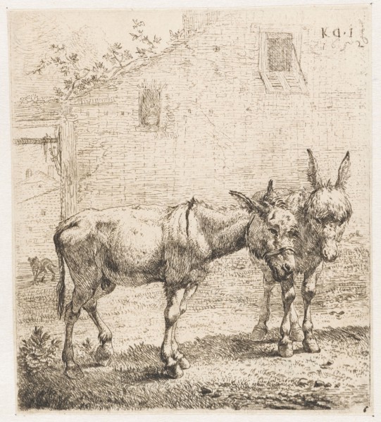 Two donkeys, Karel Dujardin, 1652