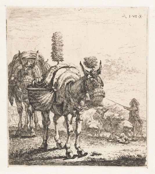 Two mules, Karel Dujardin, 1652