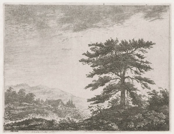 Tree in a moorland, Christiaan Wilhelmus Moorrees, 1811-1867