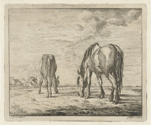 Two grazing horses, Jacobus Cornelis Gaal 1851, print maker: Jacobus Cornelis Gaal, Pieter Gaal,