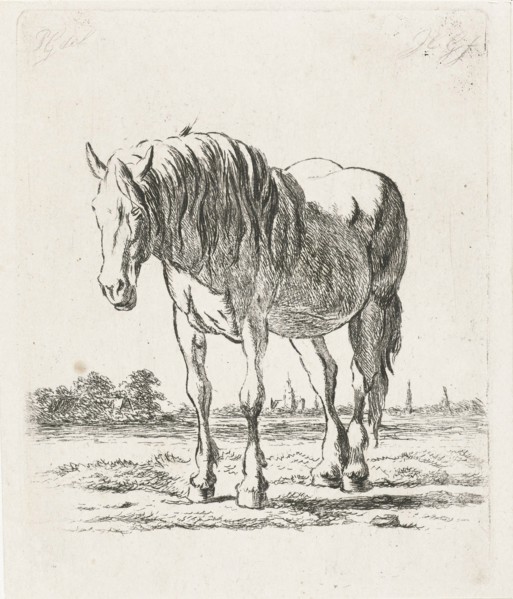 Single white horse, Jacobus Cornelis Gaal, 1860