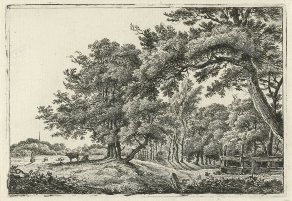 Landscape with two cows in the shade, print maker: Hermanus Fock, 1781 - 1822