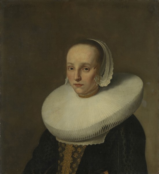 Portrait of Anna van der Does, Wife of Jan de Hooghe, Paulus Hennekyn, 1658