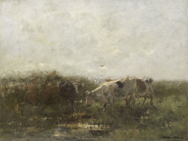 Cows, Willem Maris, 1880 - 1904