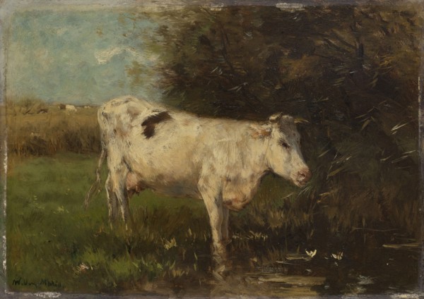 White Cow, Willem Maris, c. 1880 - c. 1910