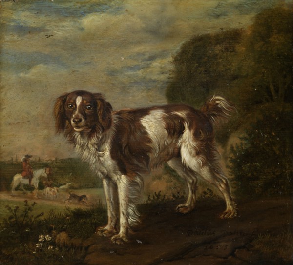 A spaniel, Paulus Potter, 1653